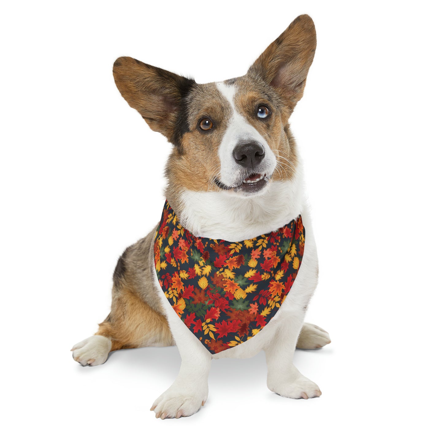 Fall Leaves Pet Bandana Collar