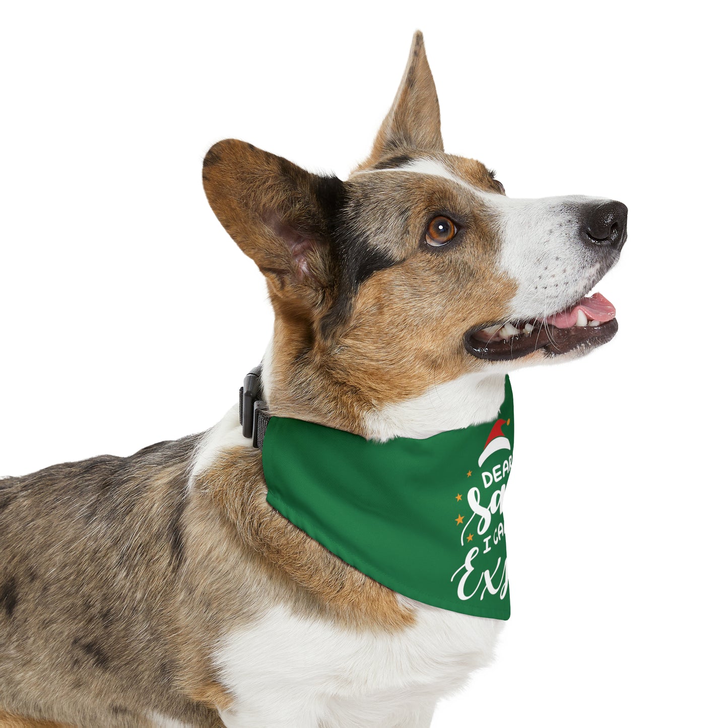 Santa I Can Explain Pet Bandana Collar