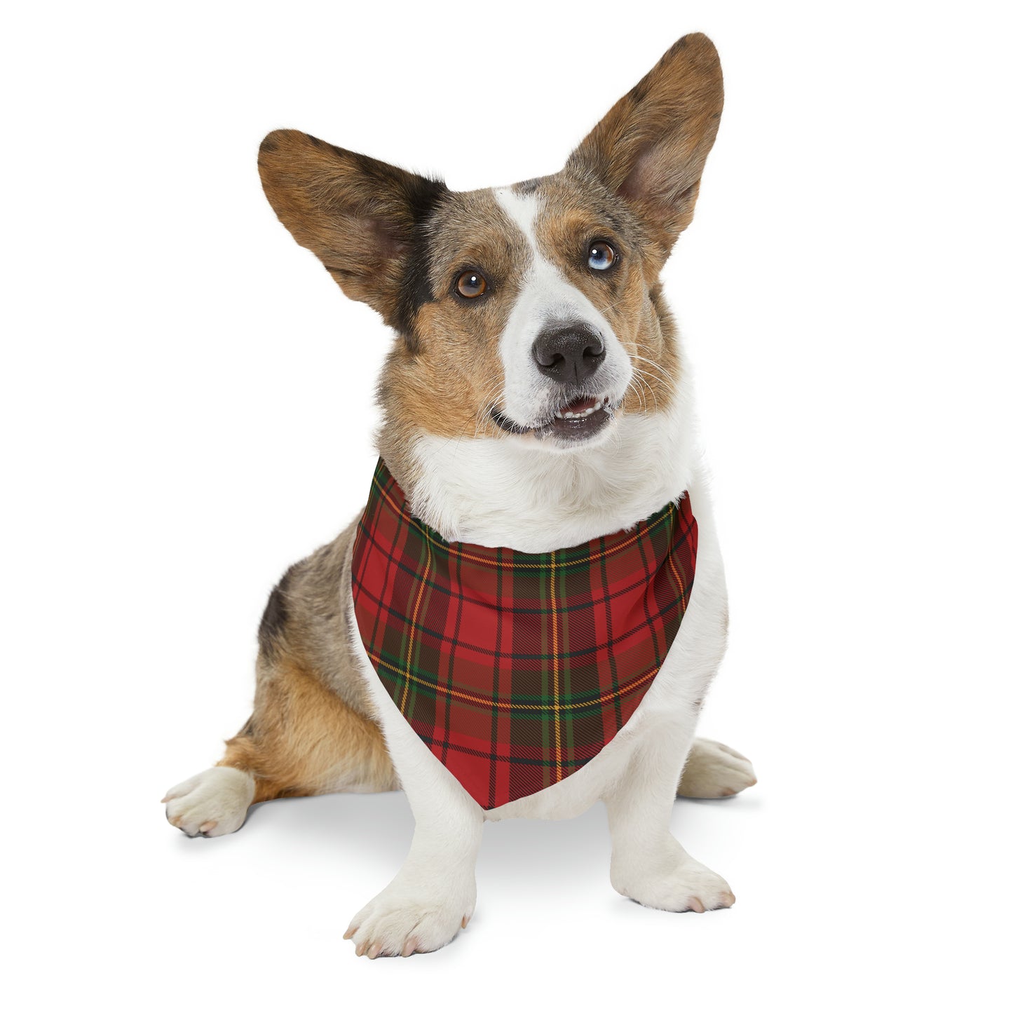 Christmas Plaid Pet Bandana Collar