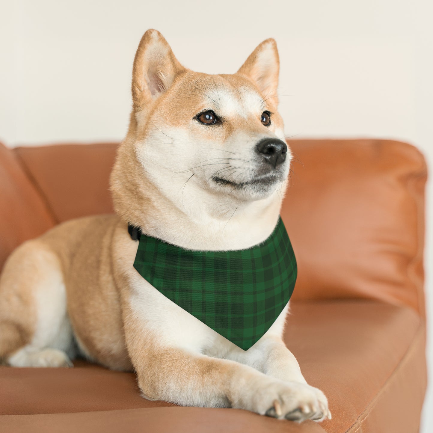 Dark Green Plaid Pet Bandana Collar