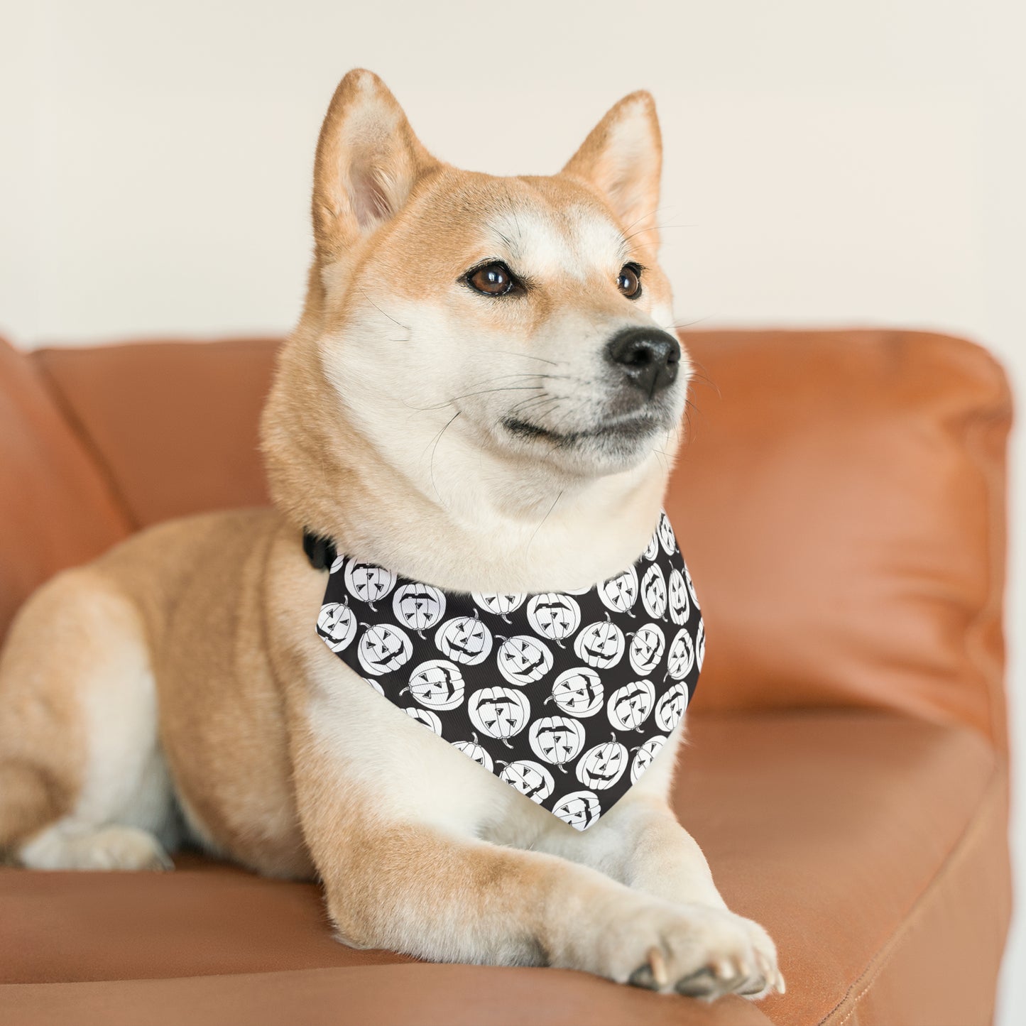 White Jack-O-Lantern Pet Bandana Collar