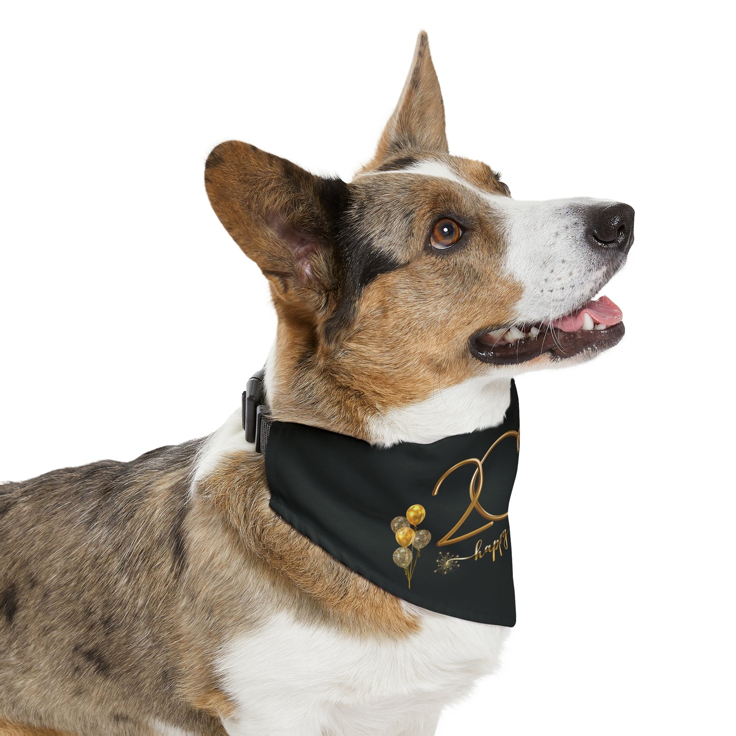 2024 New Years Pet Bandana Collar