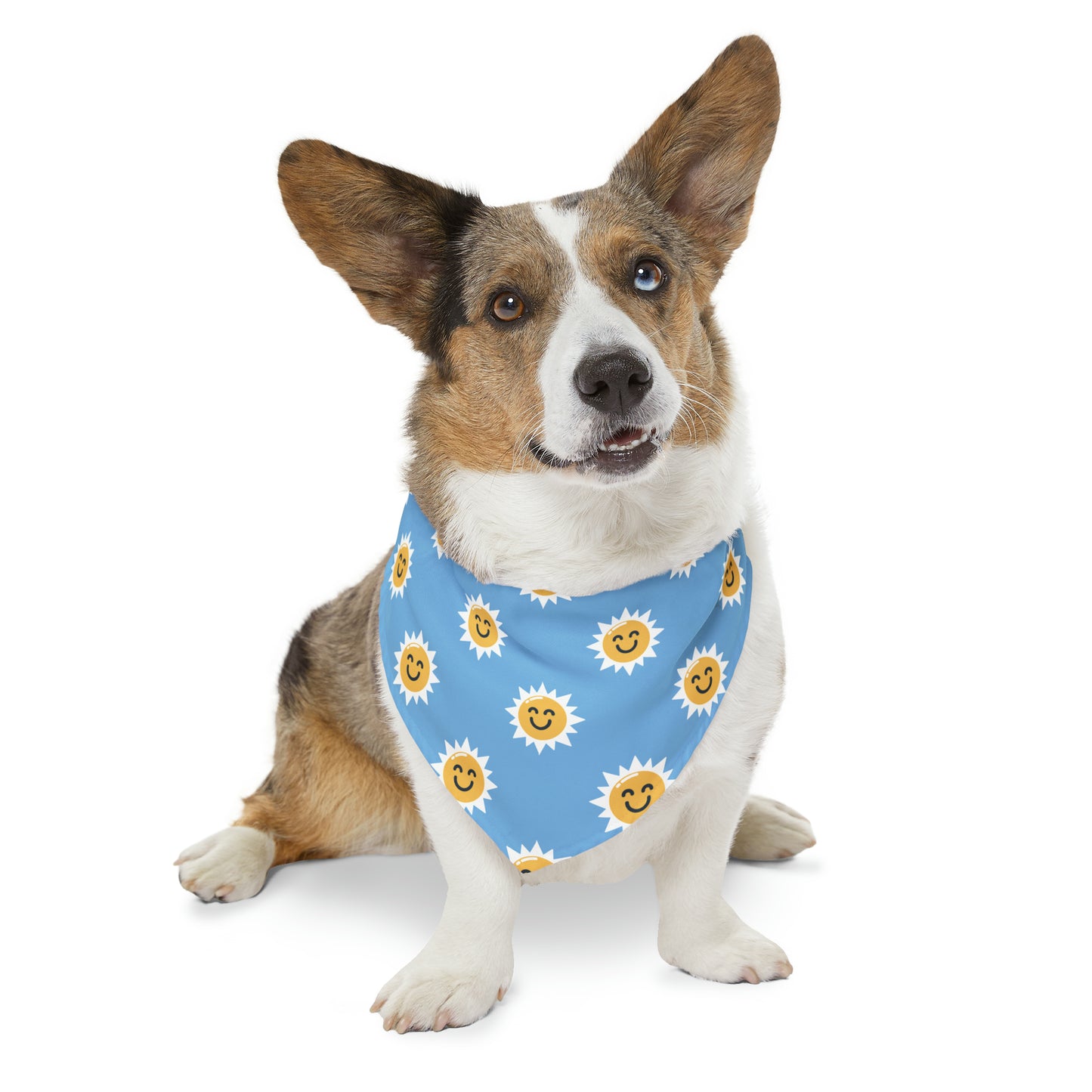 Summer Sun Dog/Cat Bandana Collar