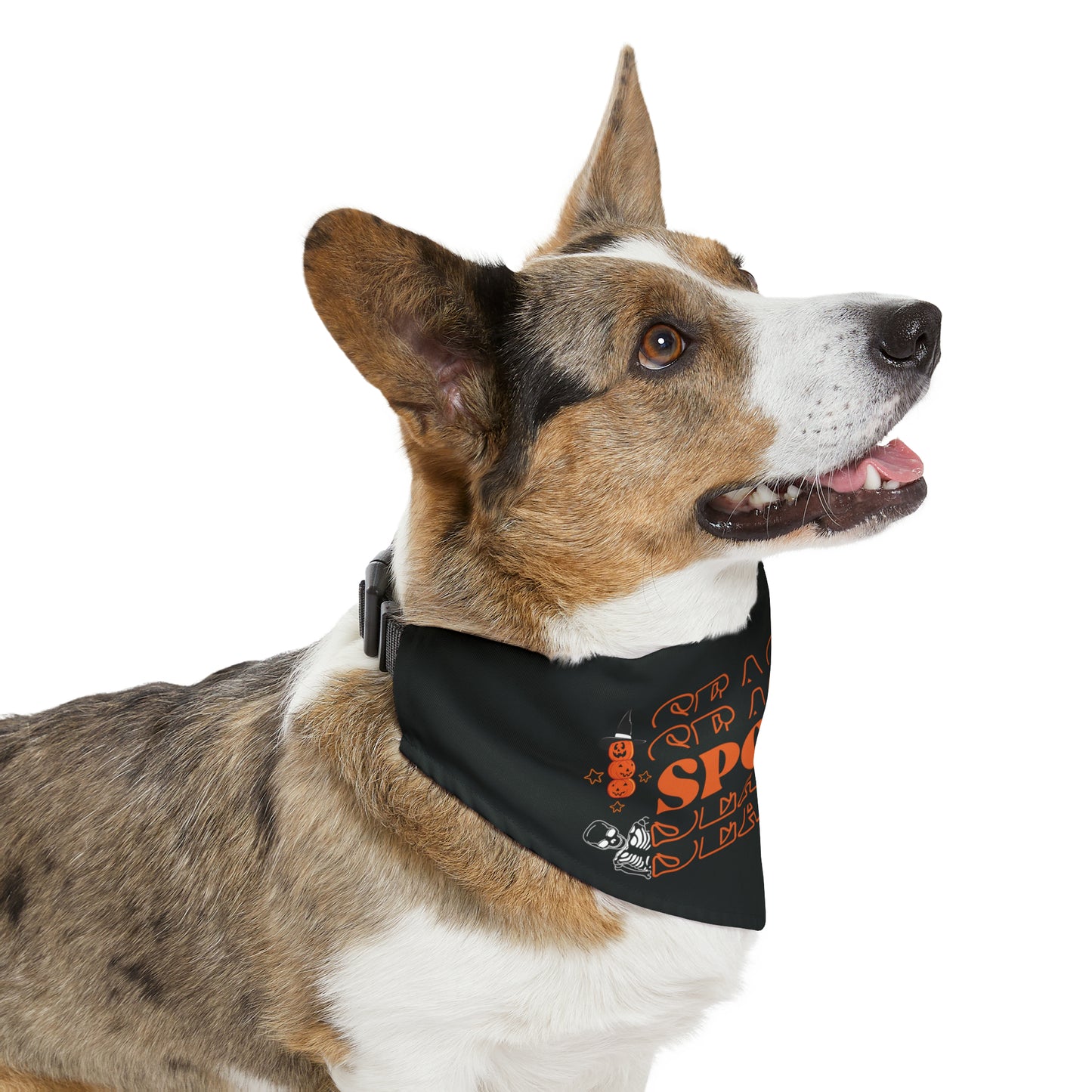 Spooky Halloween Pet Bandana Collar