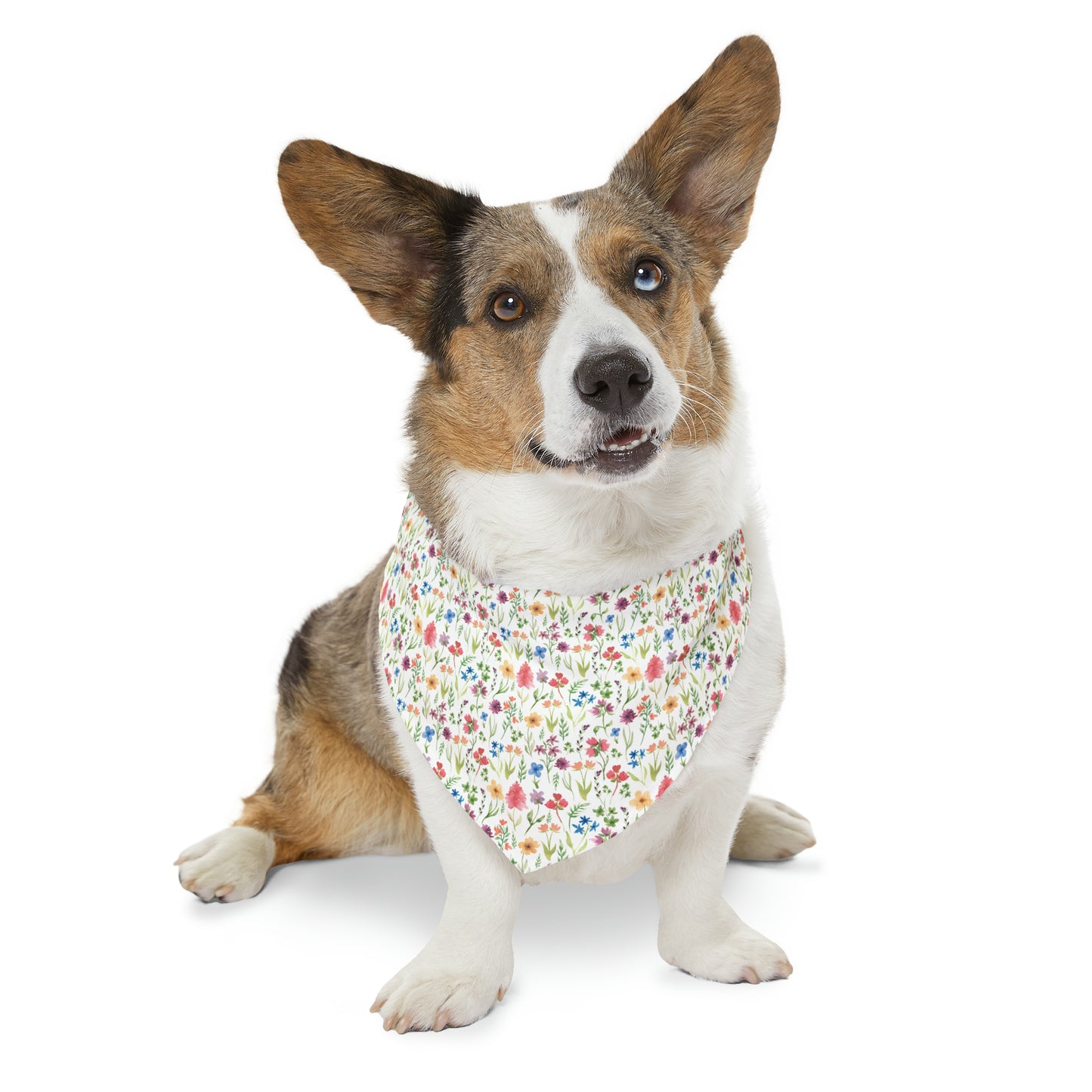 Wildflower Floral Pet Bandana Collar