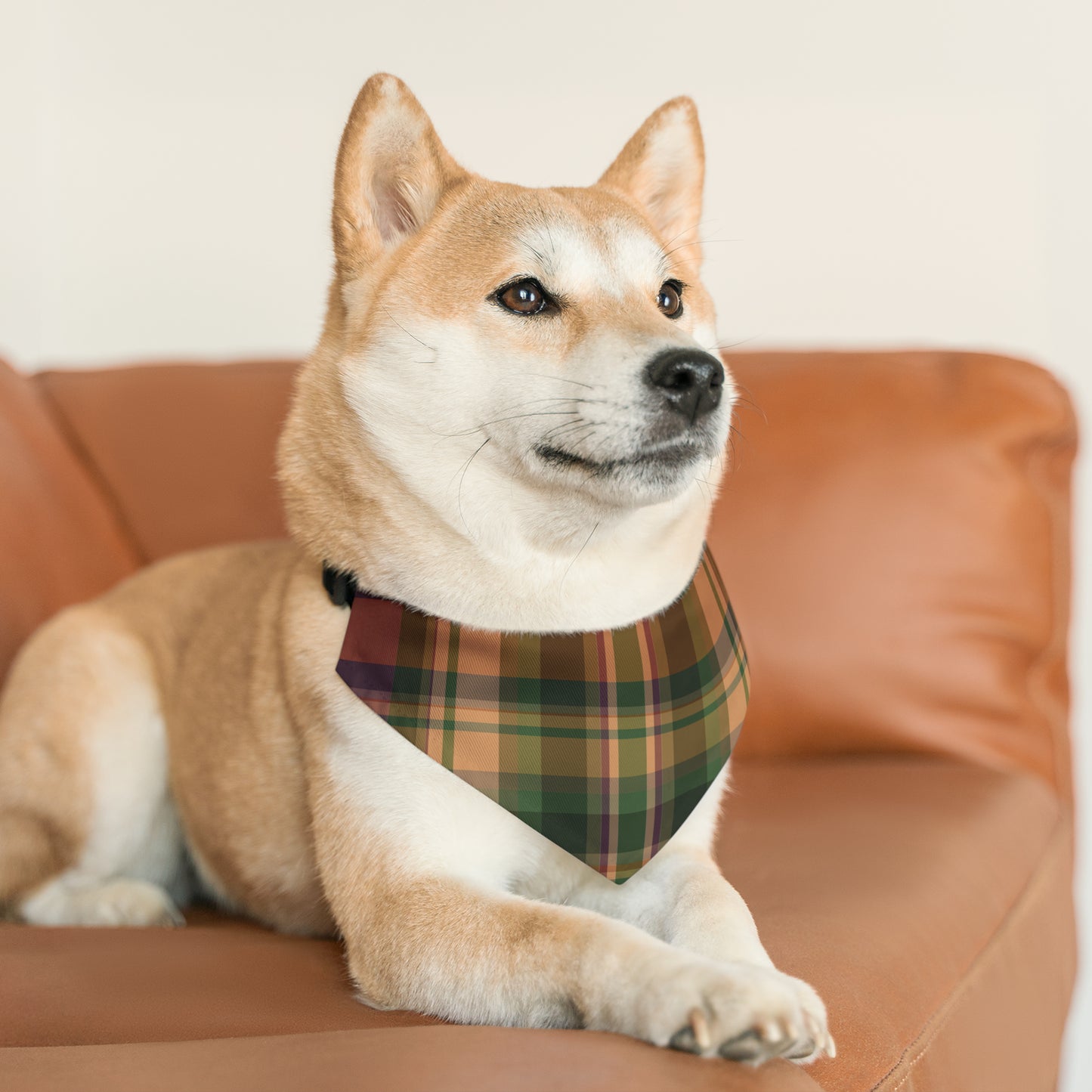 Fall Plaid Pet Bandana Collar