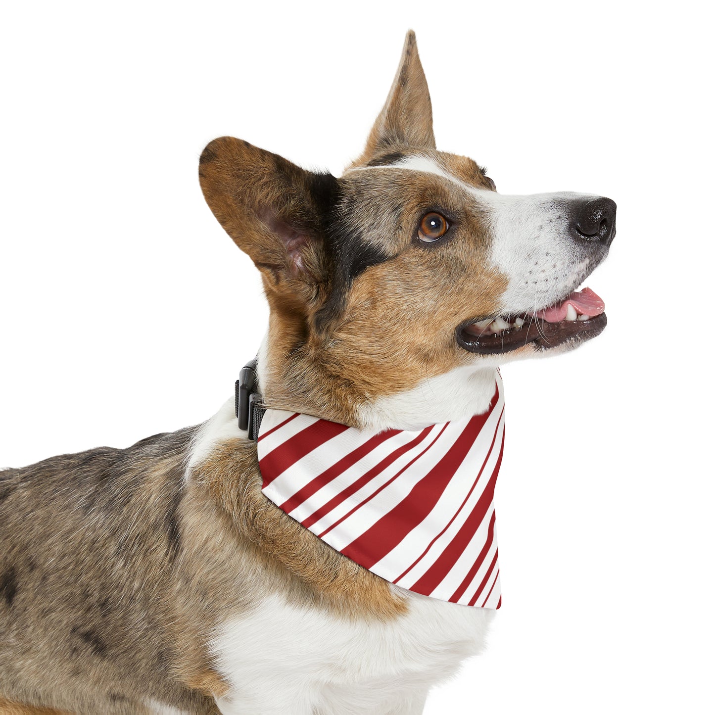 Candy Cane Pet Bandana Collar