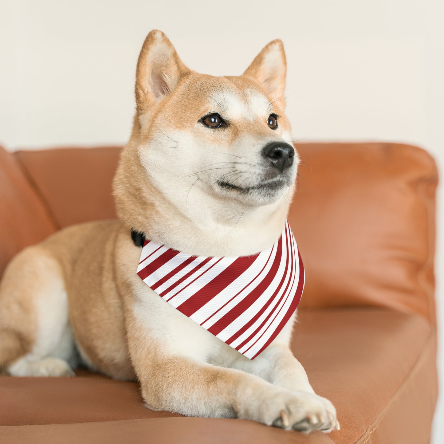 Candy Cane Pet Bandana Collar