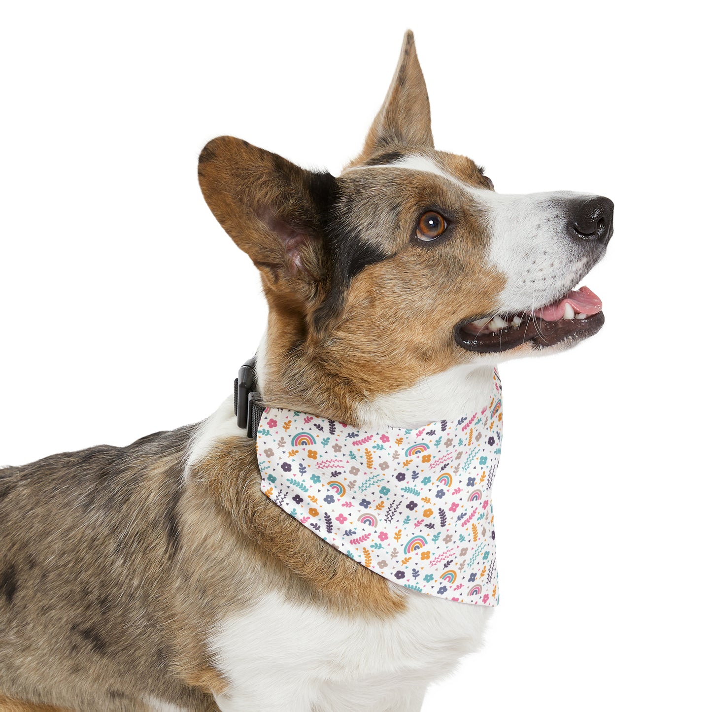 Summer Rainbows Pet Bandana Collar