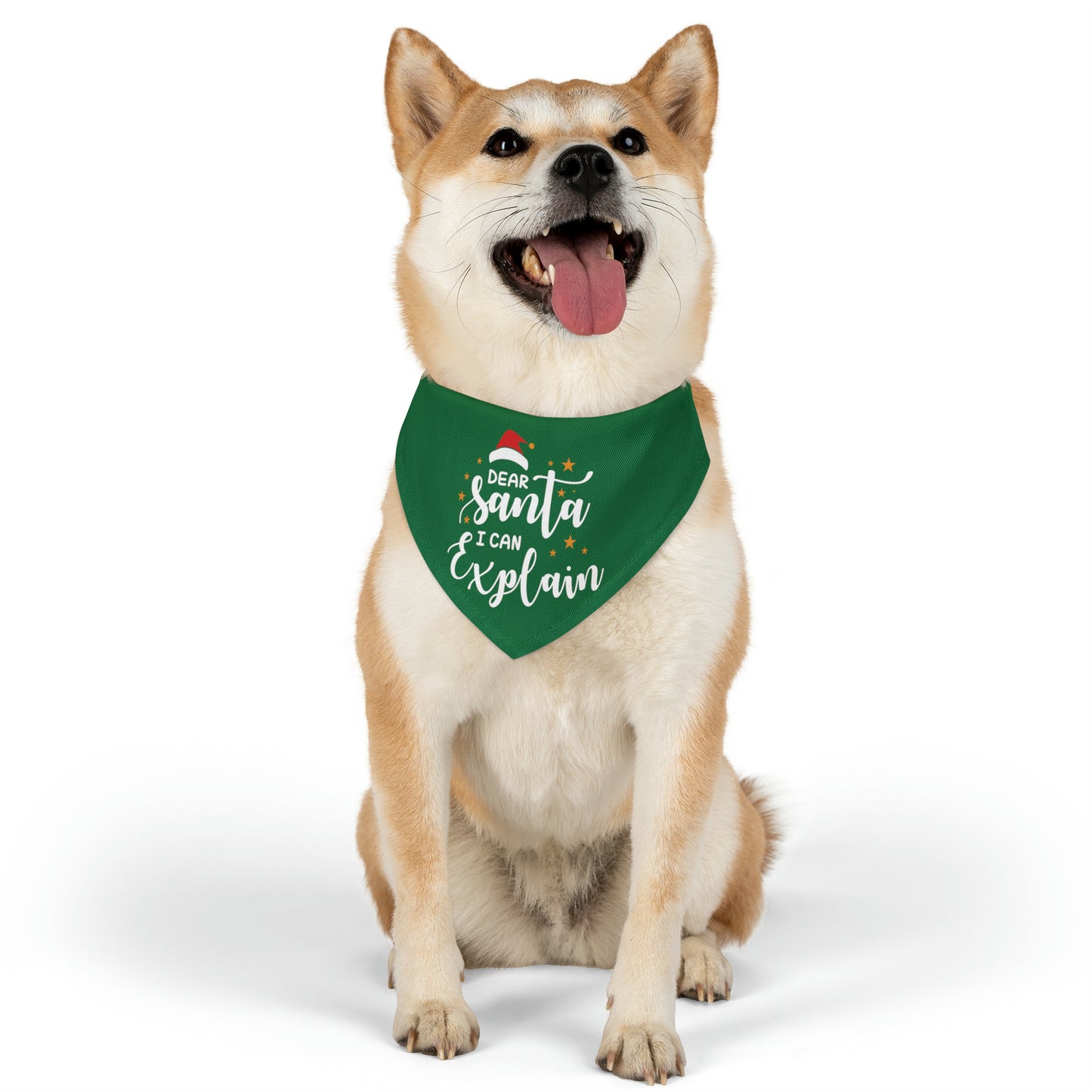 Santa I Can Explain Pet Bandana Collar