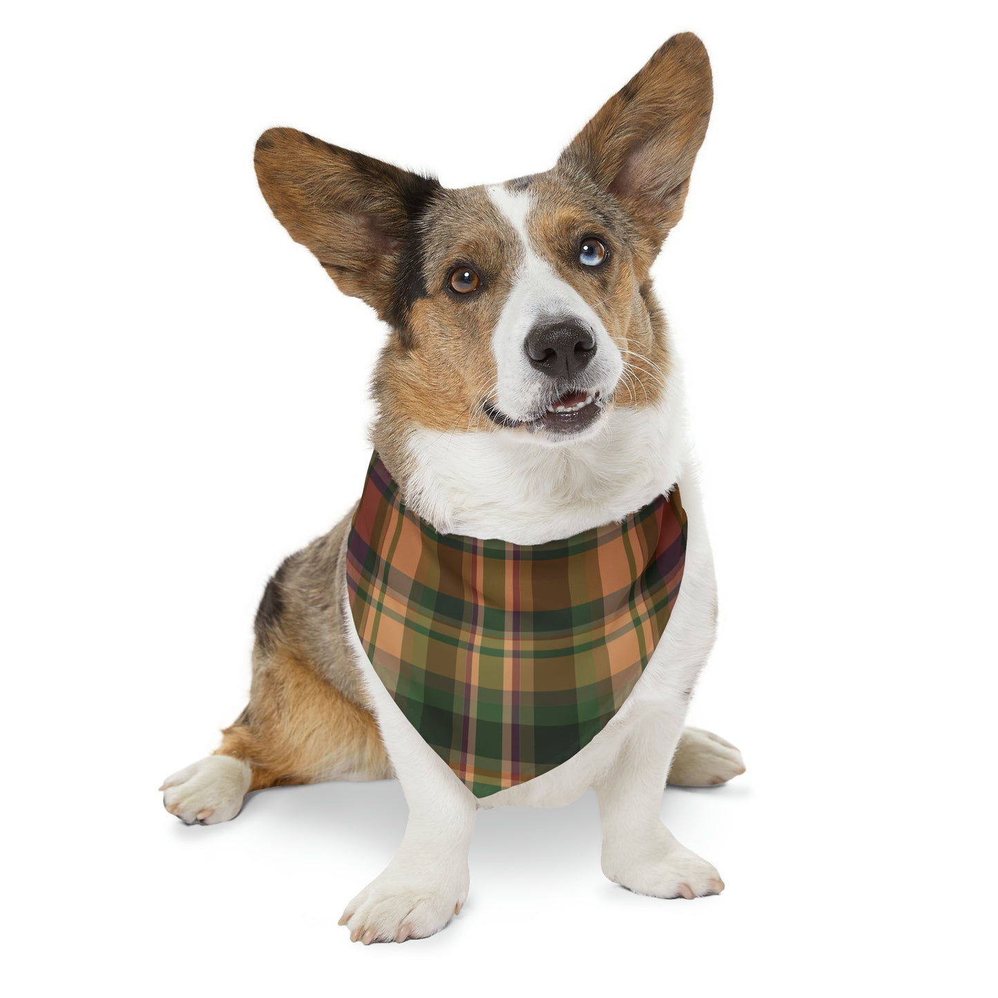 Fall Plaid Pet Bandana Collar