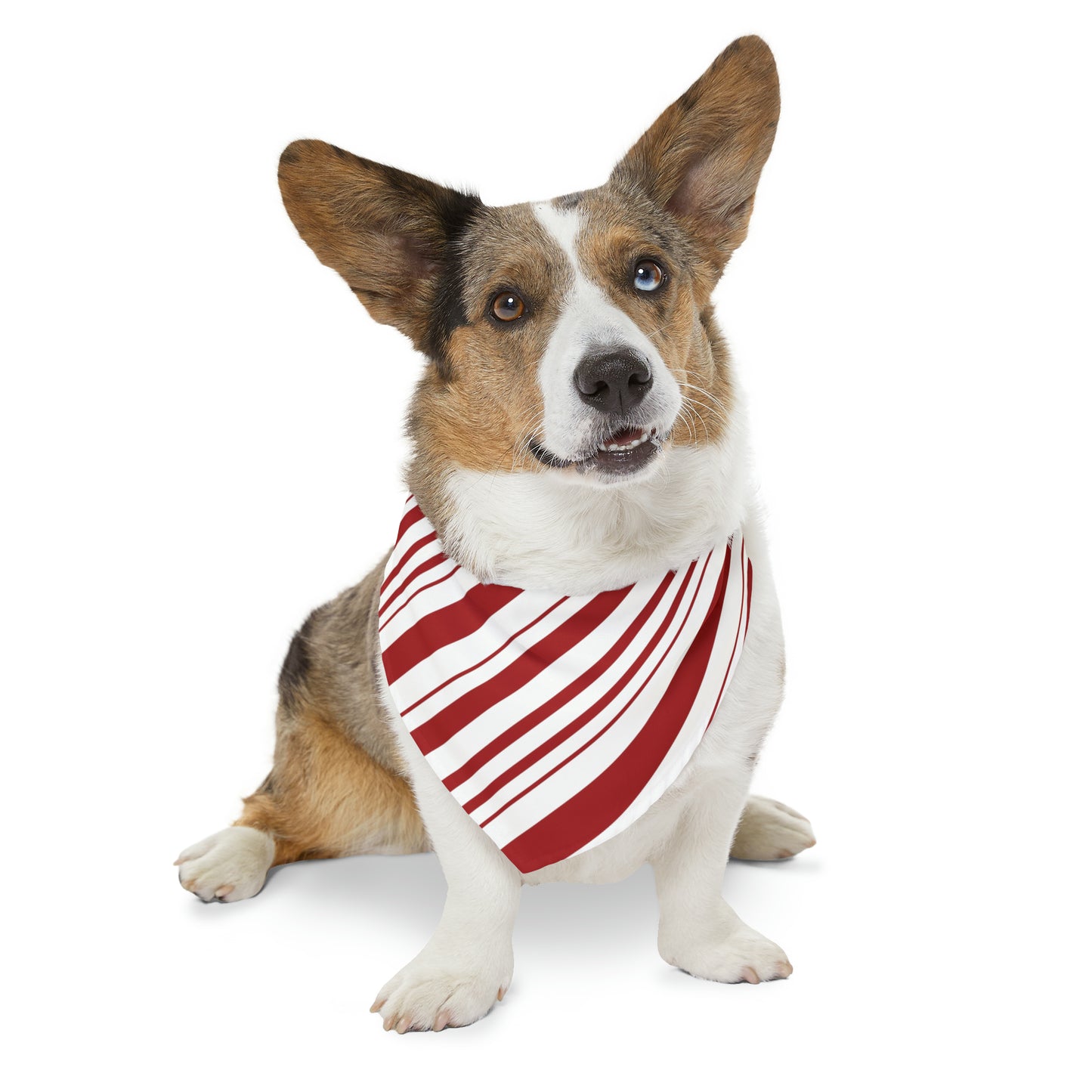 Candy Cane Pet Bandana Collar