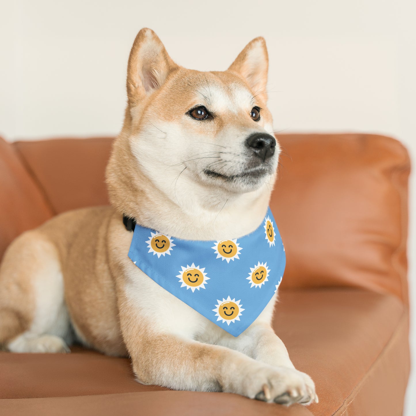 Summer Sun Dog/Cat Bandana Collar