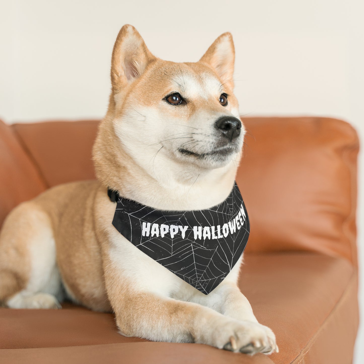 Happy Halloween Spider Web Dog/Cat Bandana Collar