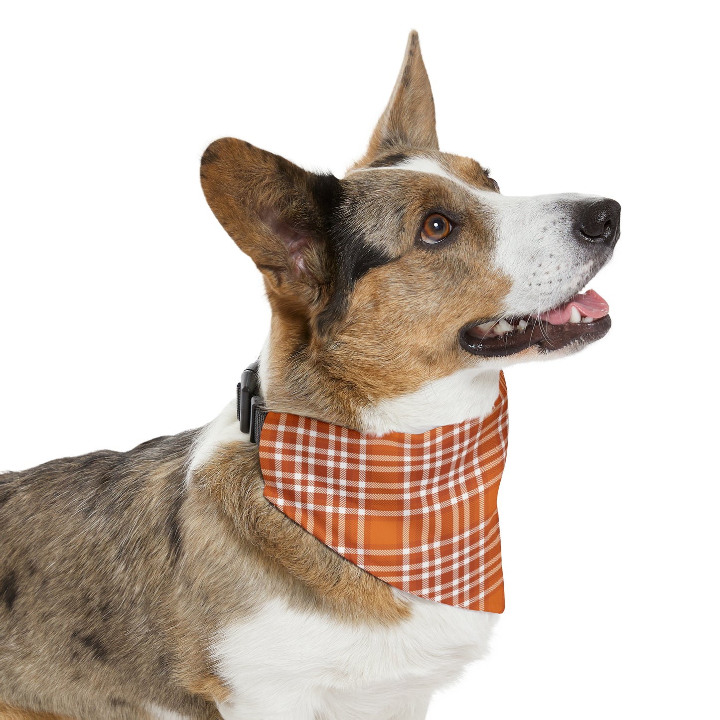 Orange Plaid Pet Bandana Collar