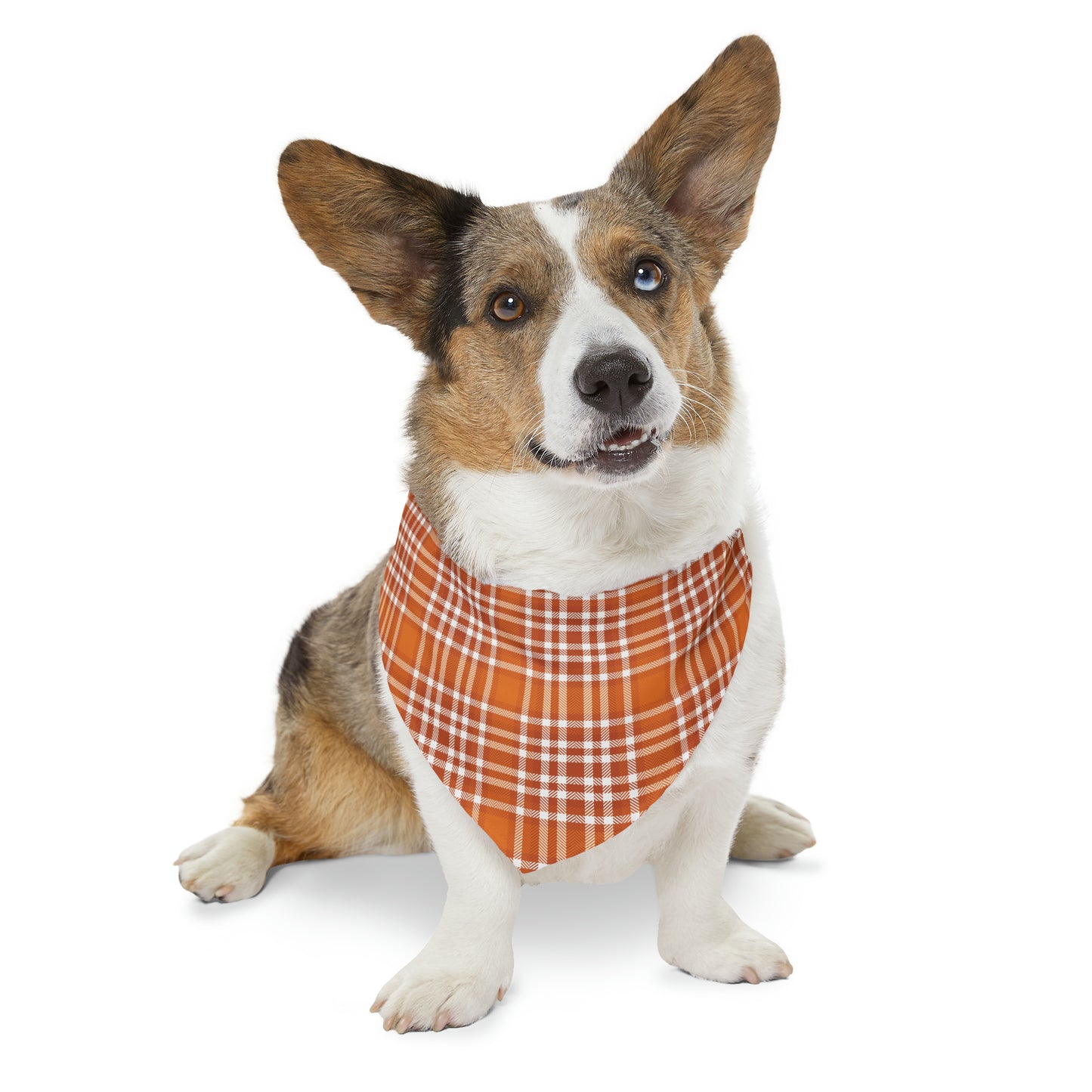 Orange Plaid Pet Bandana Collar