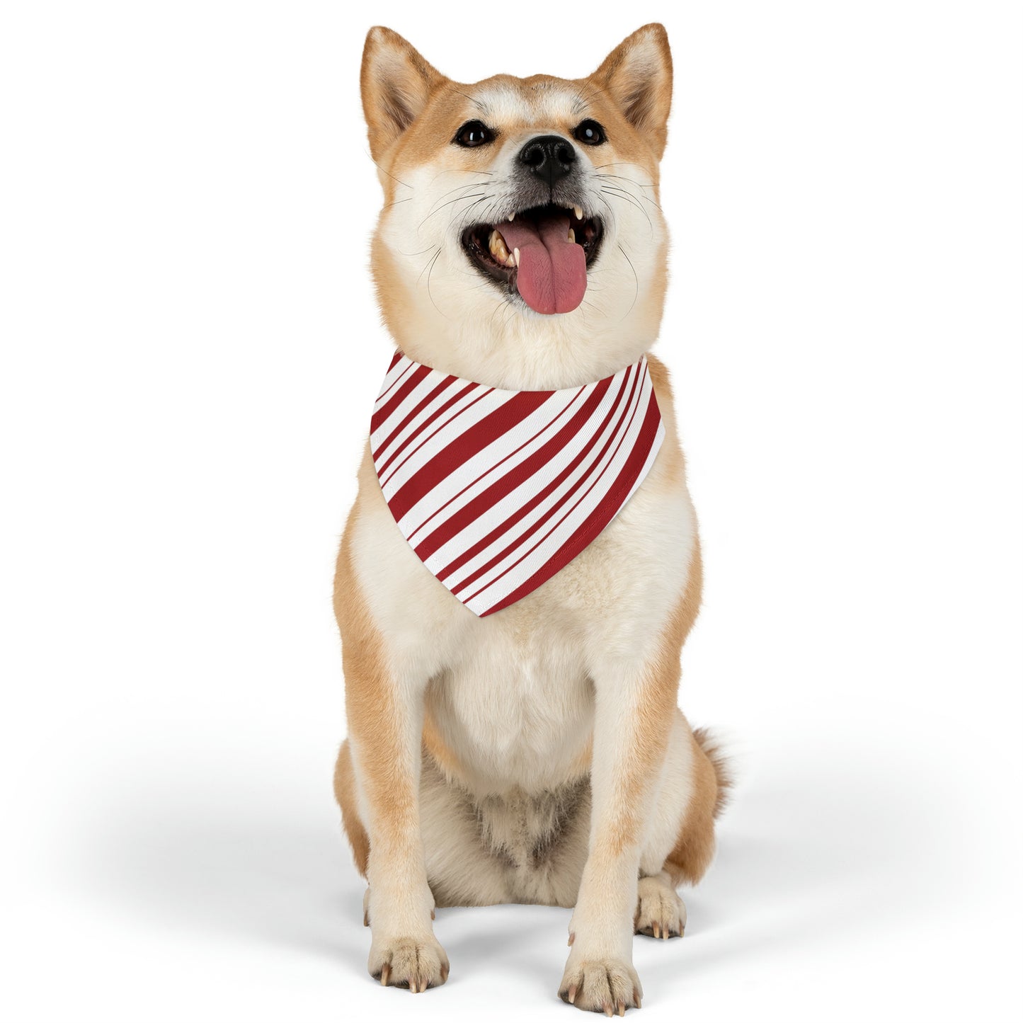 Candy Cane Pet Bandana Collar