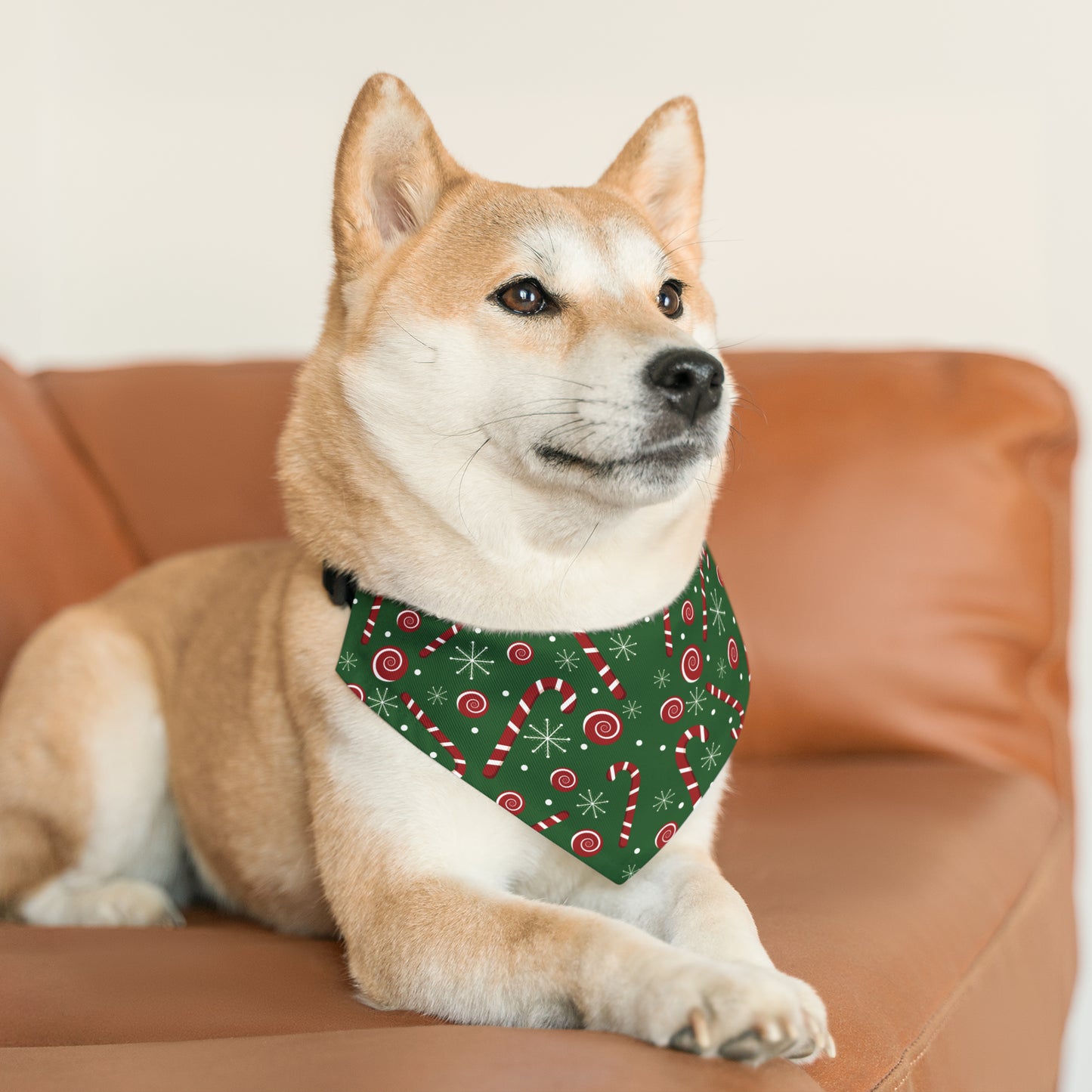 Green Candy Cane Pet Bandana Collar