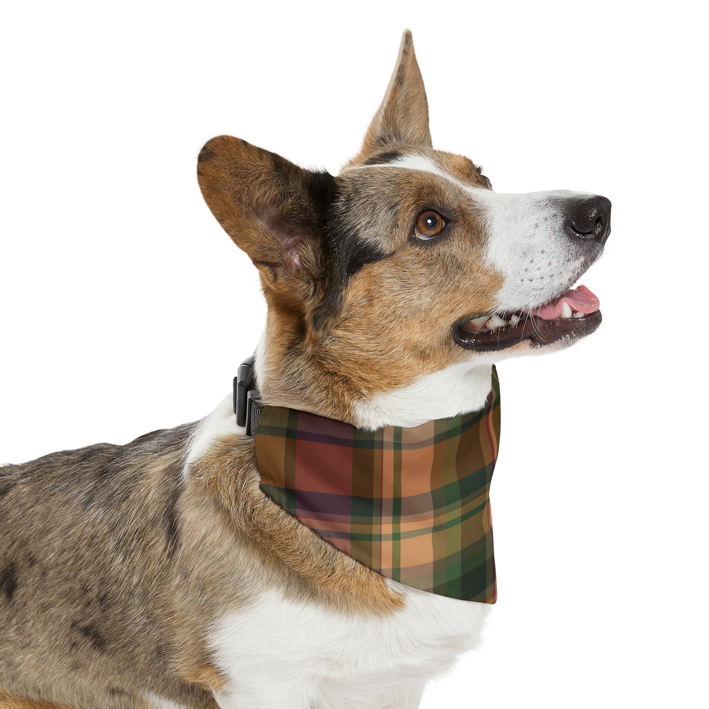 Fall Plaid Pet Bandana Collar