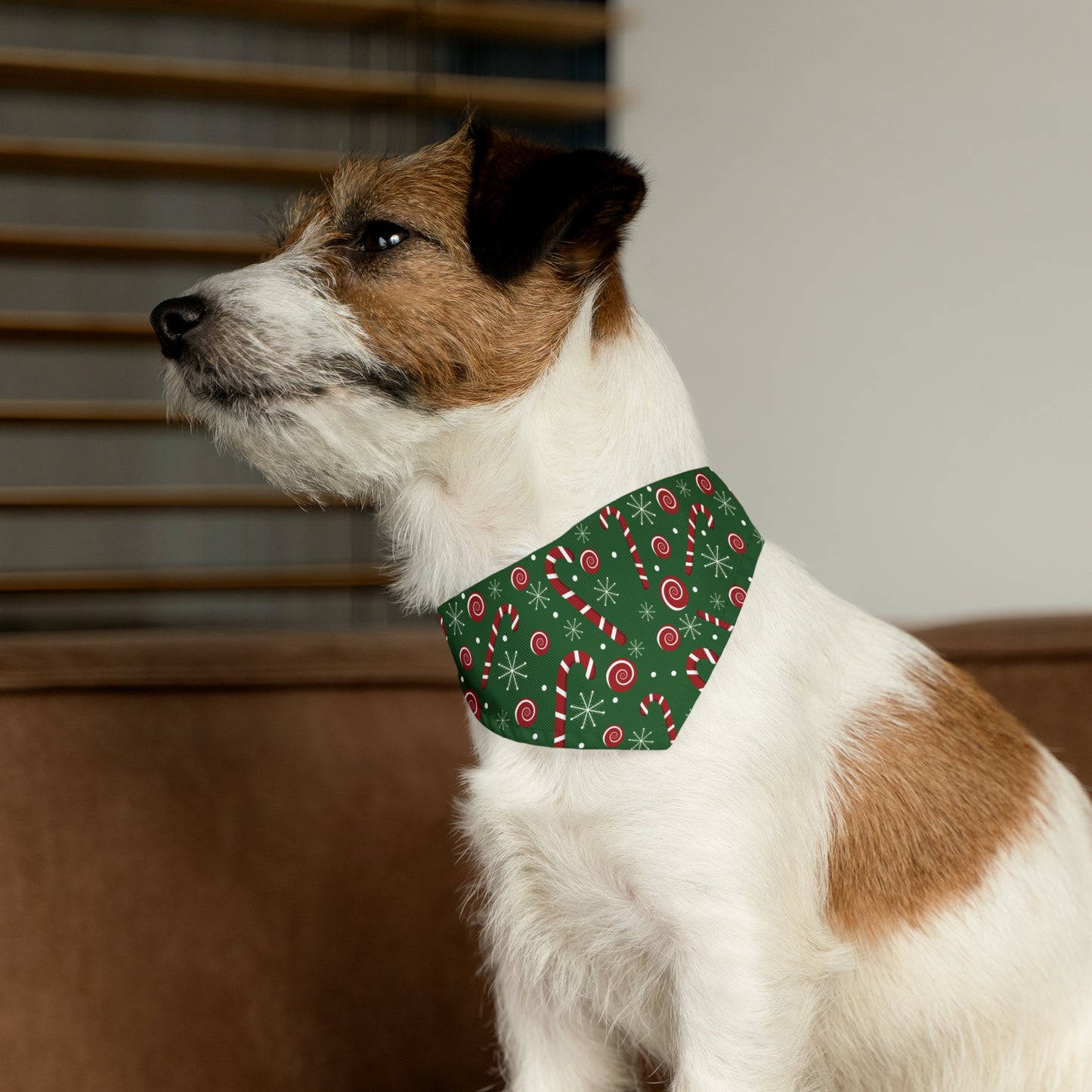 Green Candy Cane Pet Bandana Collar