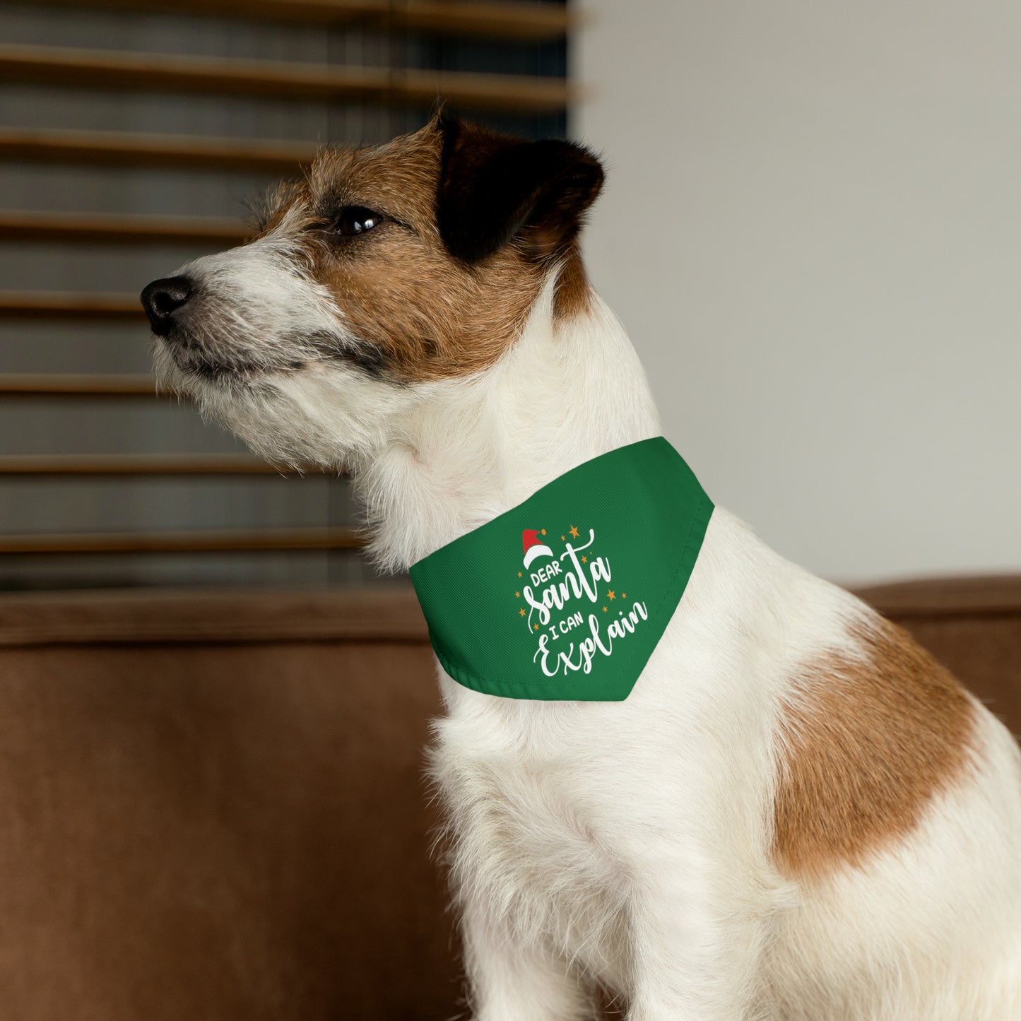 Santa I Can Explain Pet Bandana Collar