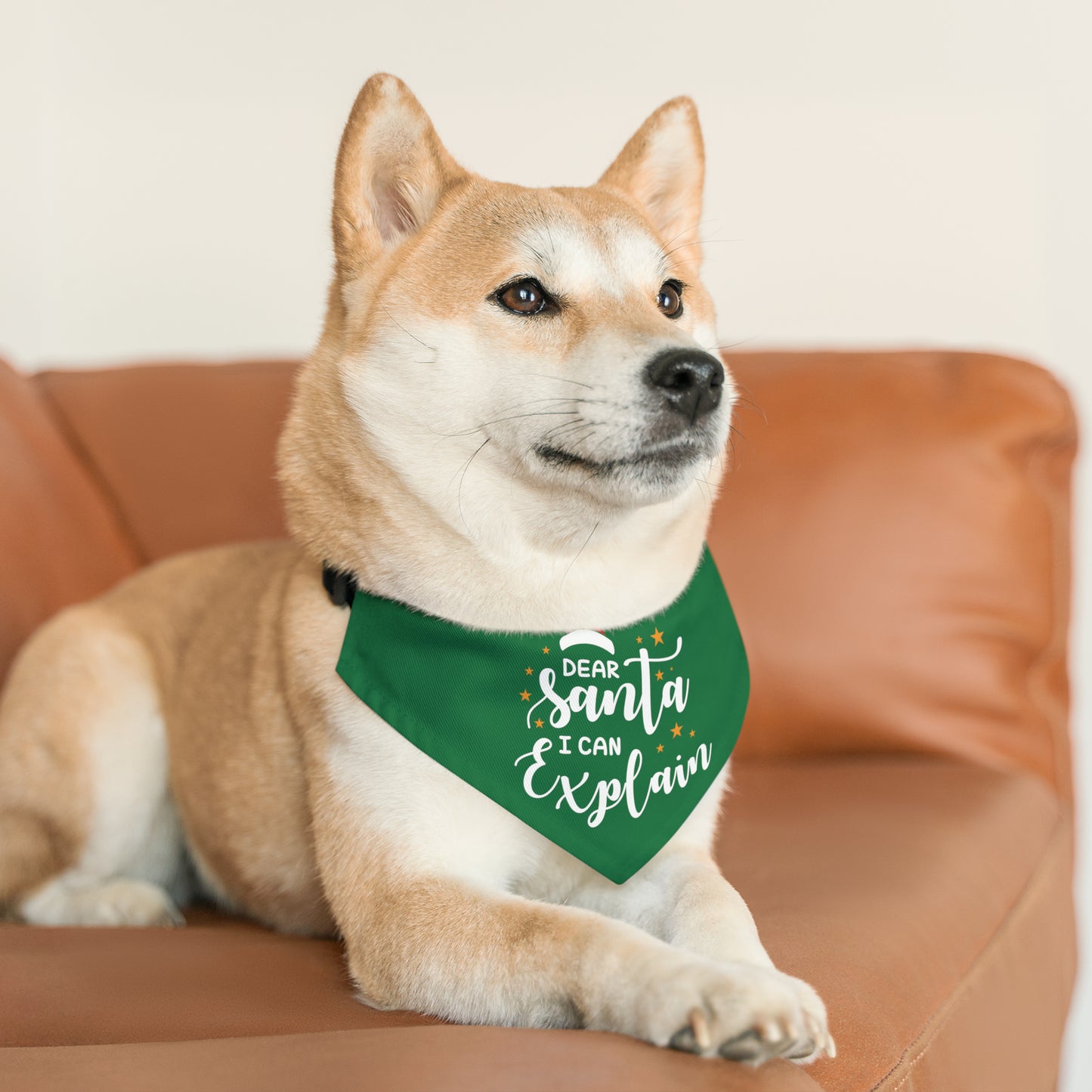 Santa I Can Explain Pet Bandana Collar