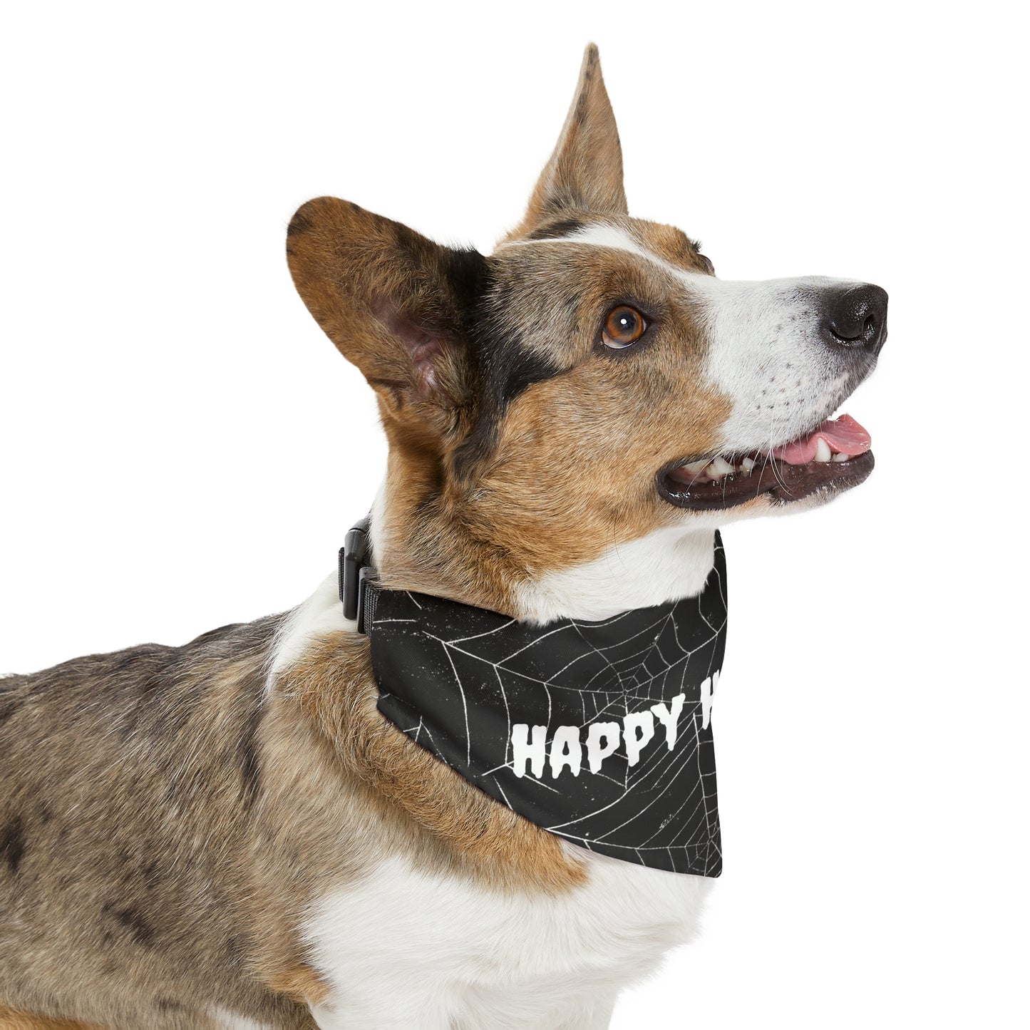 Happy Halloween Spider Web Dog/Cat Bandana Collar