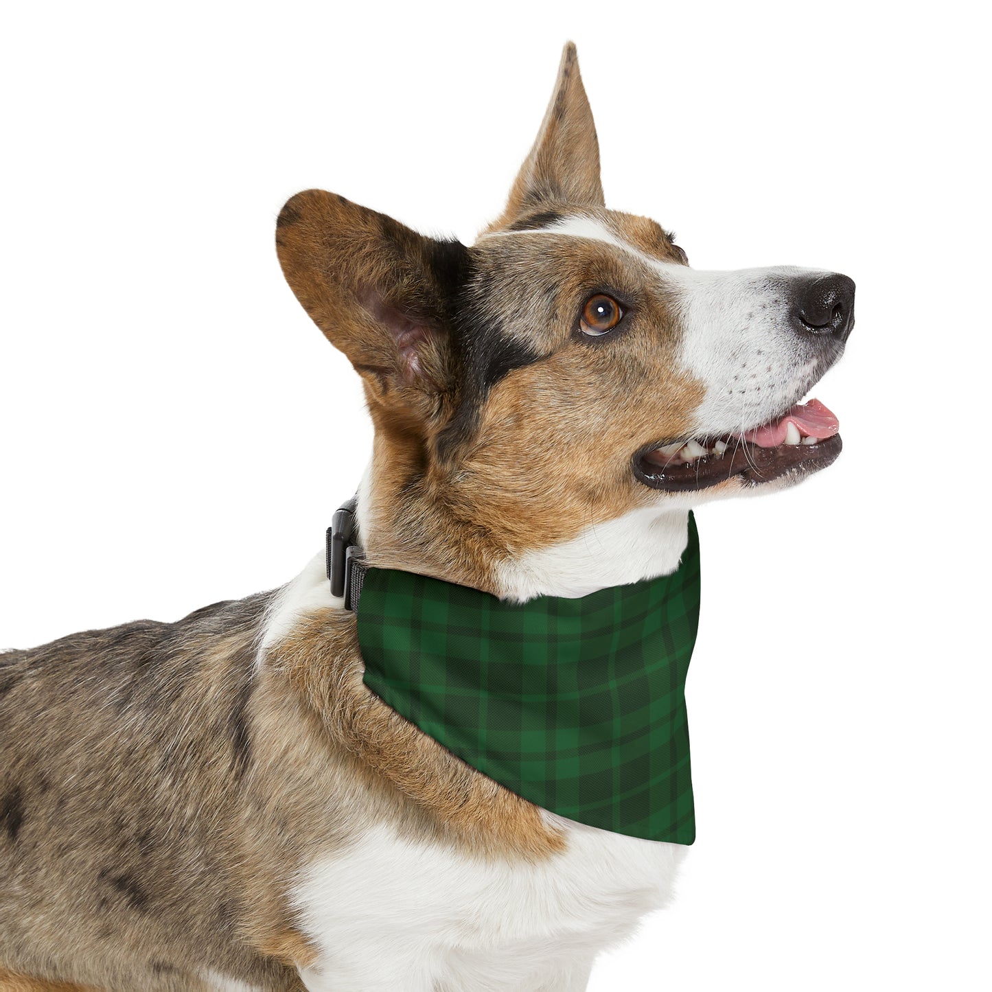 Dark Green Plaid Pet Bandana Collar