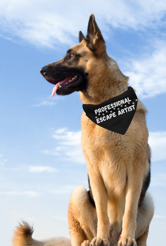 Professional Escape Artist Pet Bandana Collar