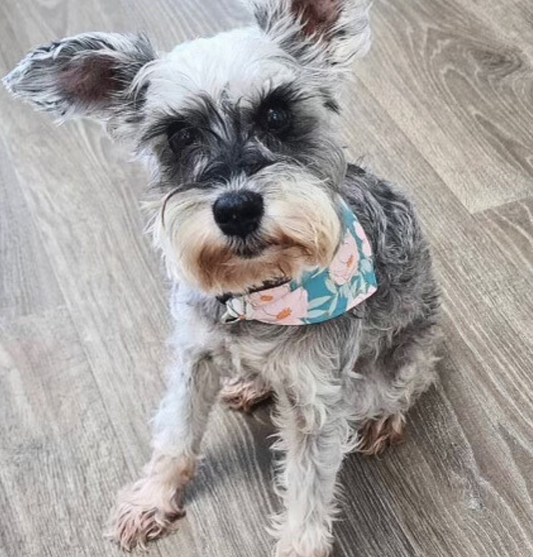 Floral Dog/Cat Bandana Collar